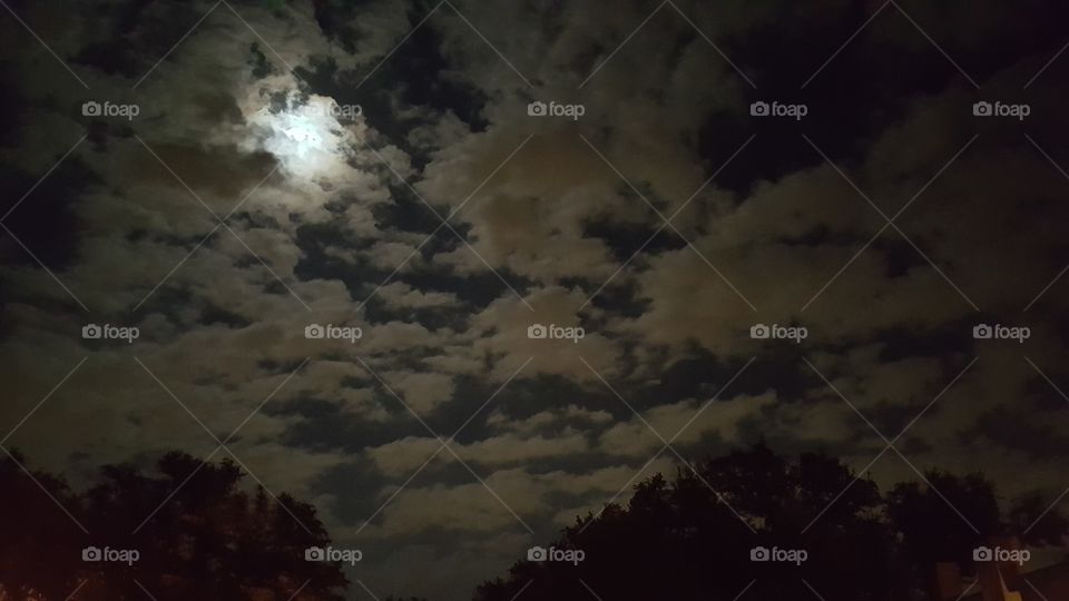 Clouds in the Night Sky