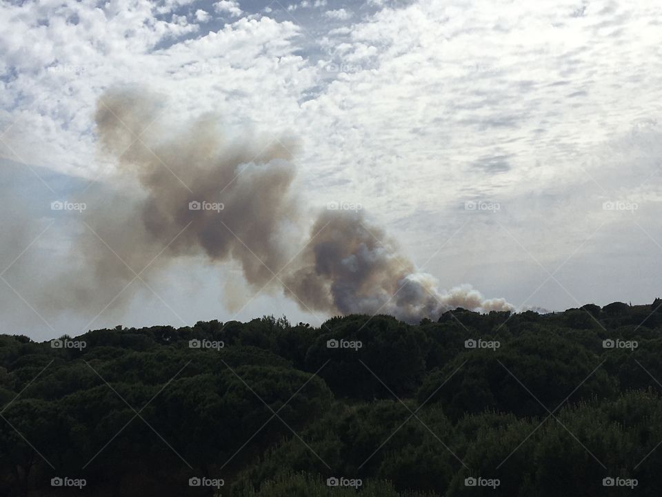 Smoke from big fire in wild