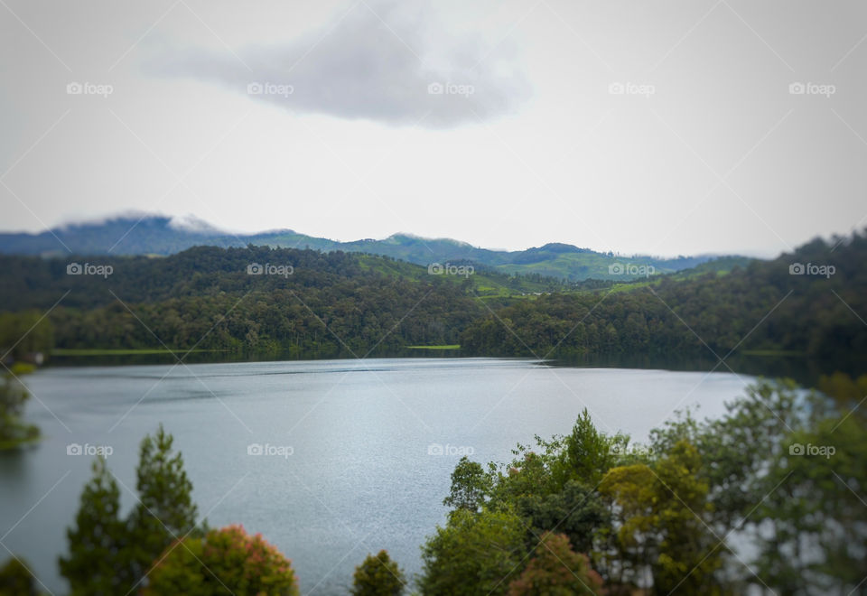 morning view in the lake