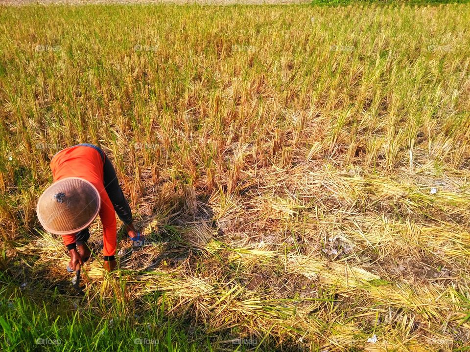 Show us your best photos