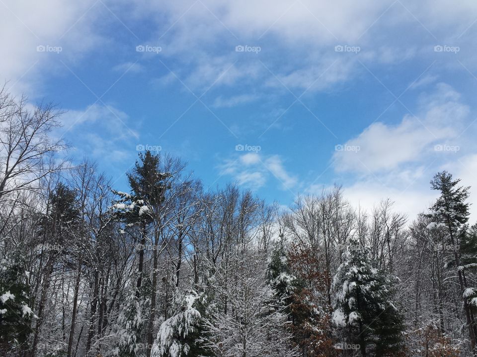 blue sky in winter