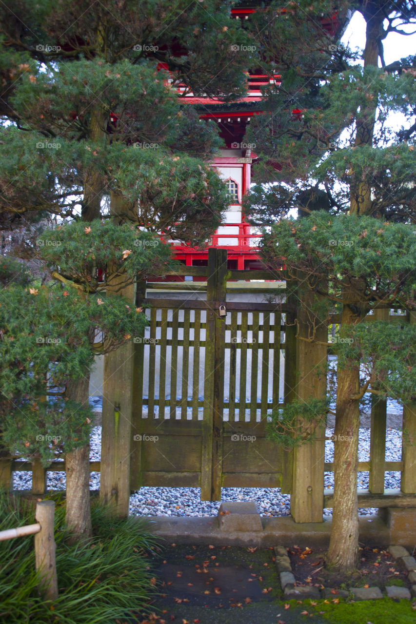 THE JAPANESE GARDEN AT THE GOLDEN GATE PARK SAN FRANCISCO CALIFORNIA USA