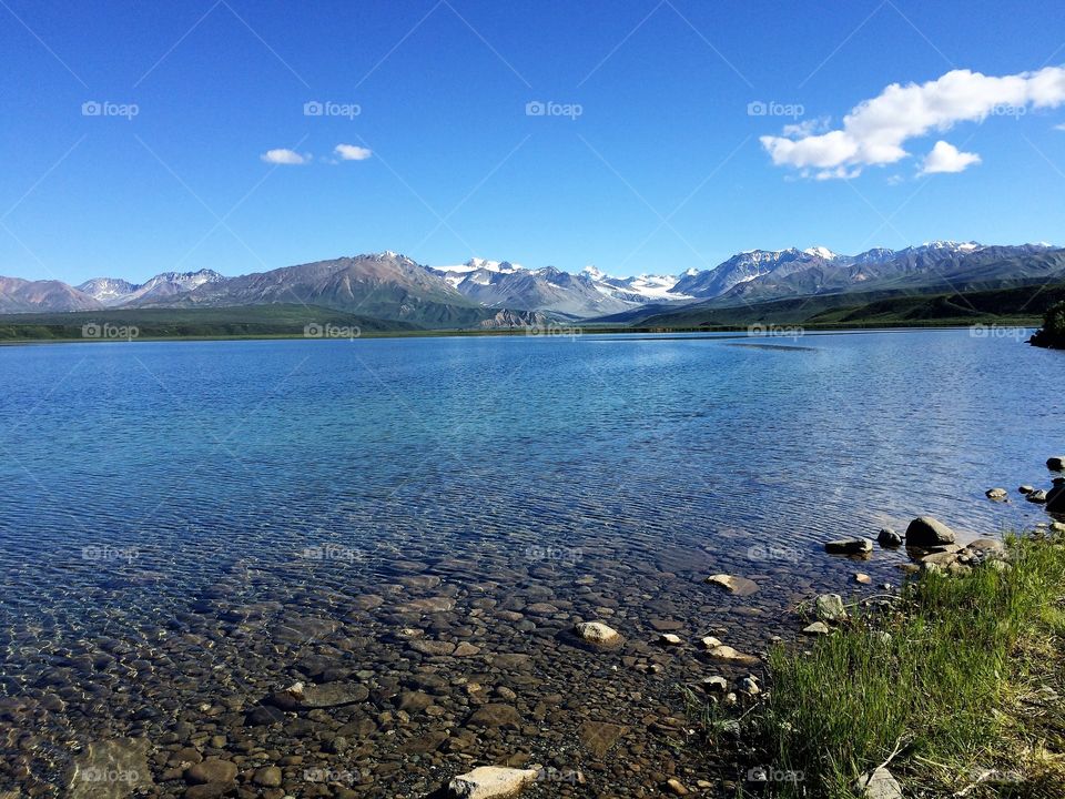 Scenic view of a lake