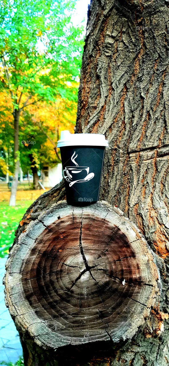 coffee time