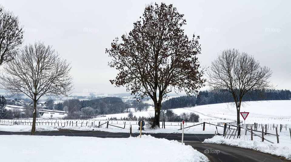 Winter nature in Belgium