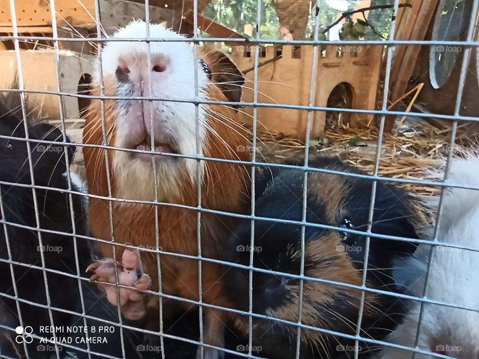 wann gibt es endlich Futter?