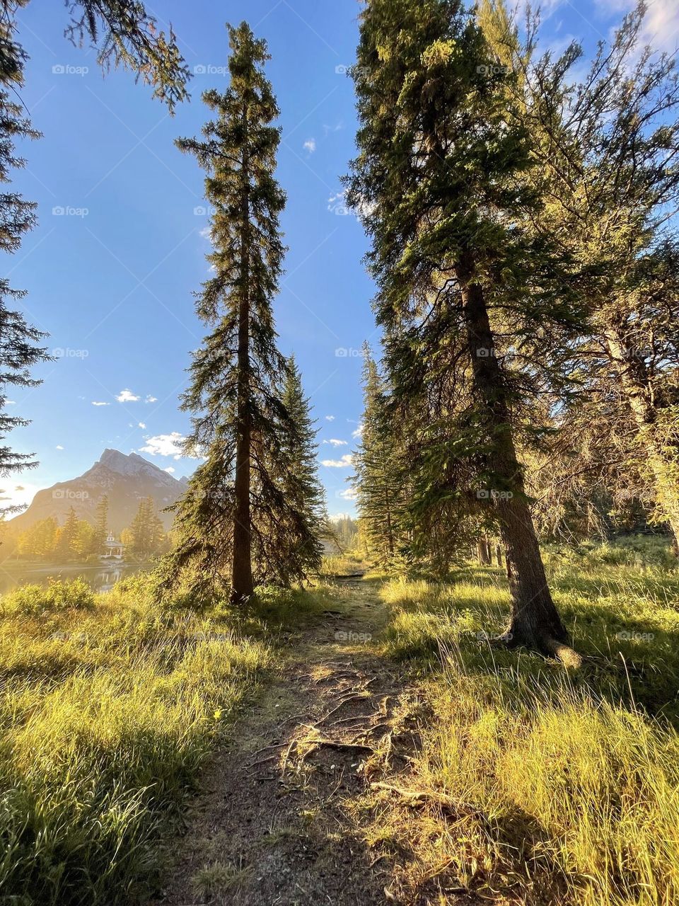 Hiking in the Canadian Rockies 