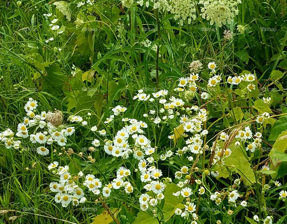 Driving the Back Roads and enjoying everything around us