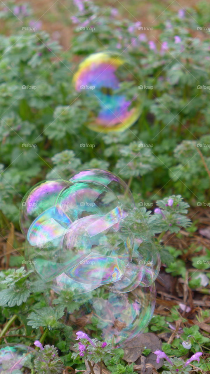 bubbles on garden plants