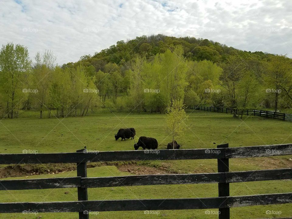 Driving the Back Roads and enjoying everything around us