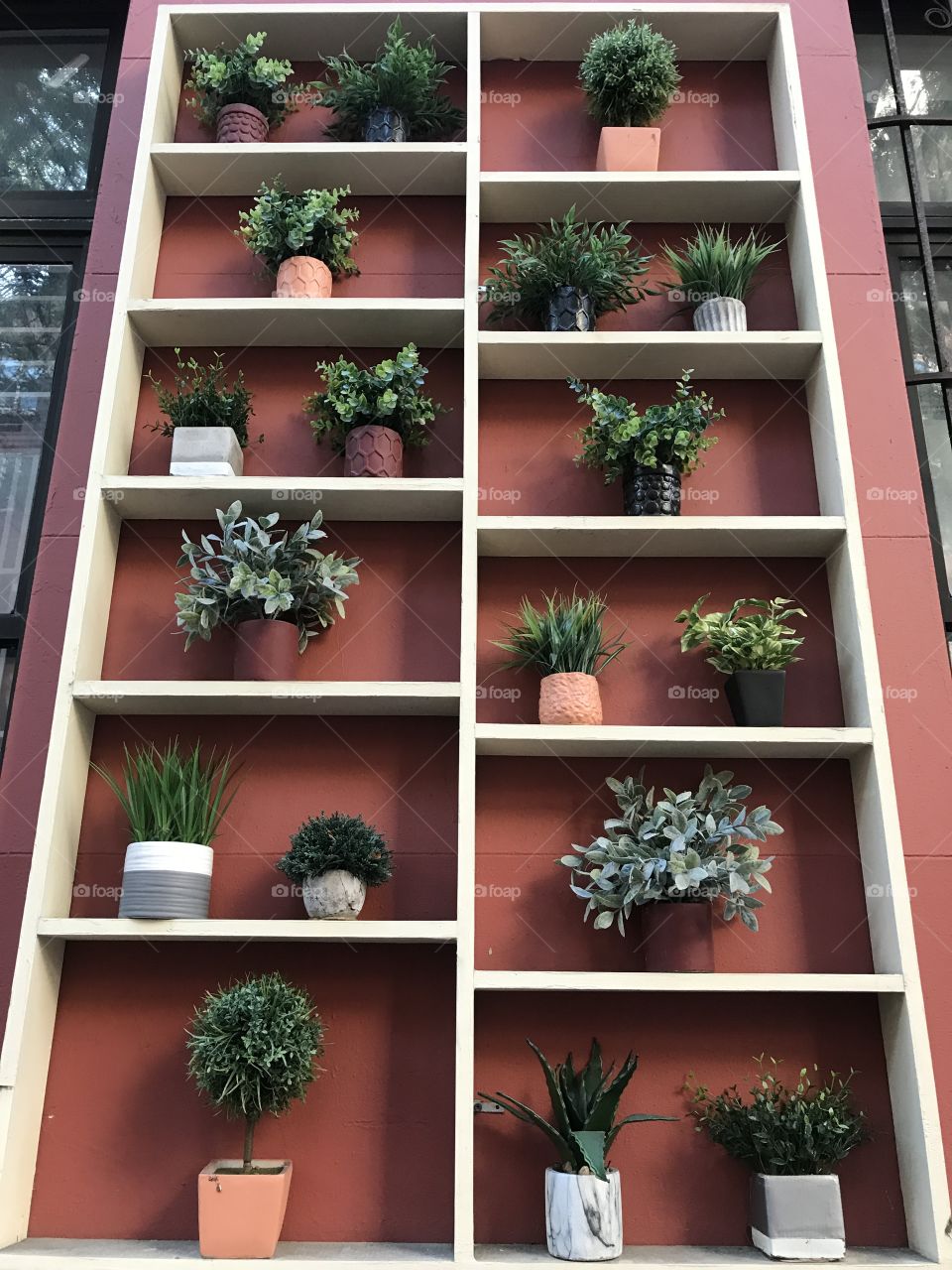 Succulents 