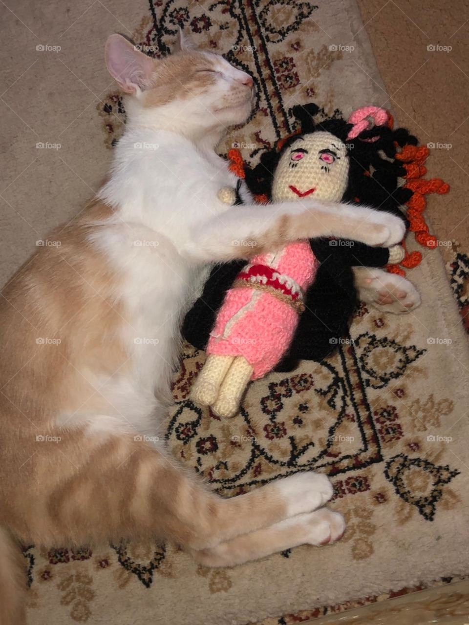 A cat hugging a doll