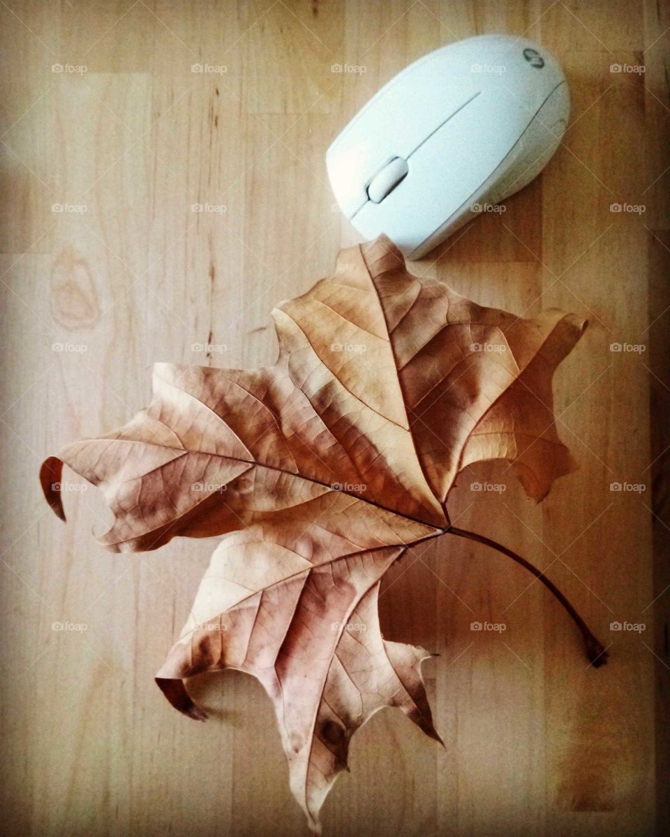 otoño en mi mesa de escritorio