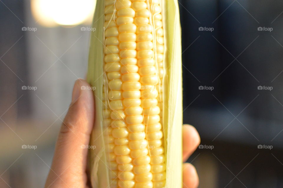 Sweet corn 🌽 