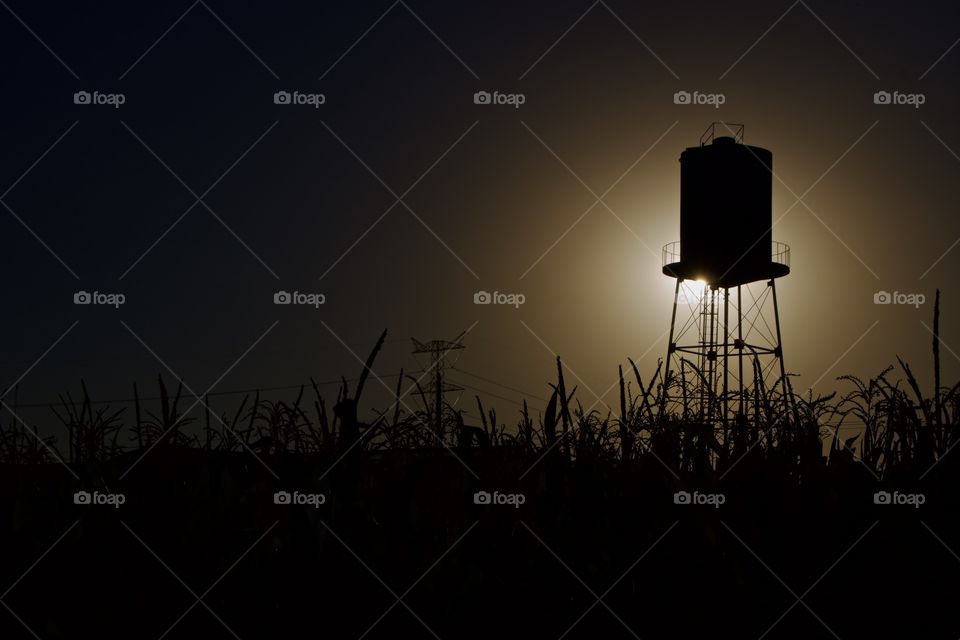 Going to be late at the farm 