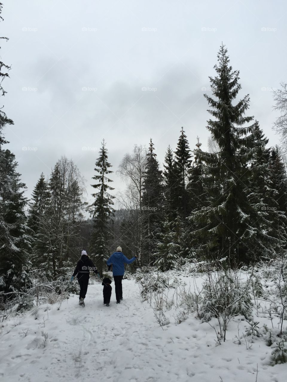 Hiking in the forest