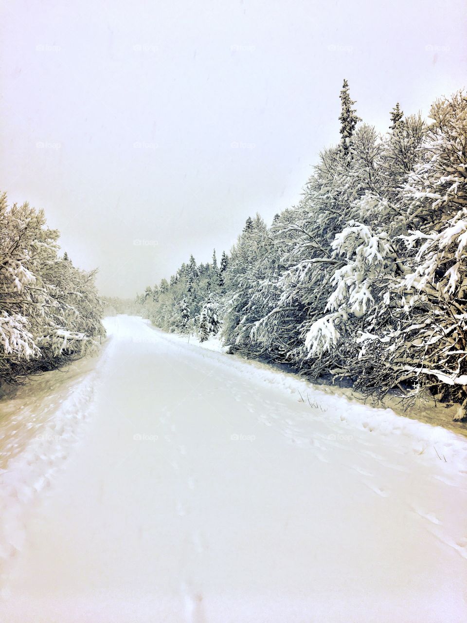 Snowy road