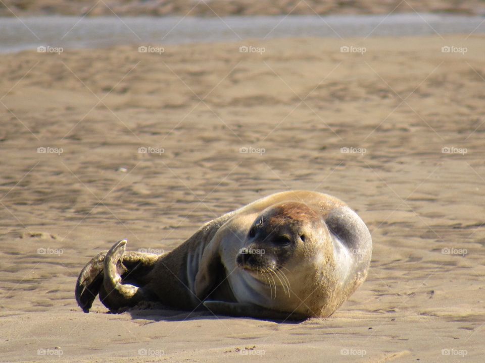 At the seaside