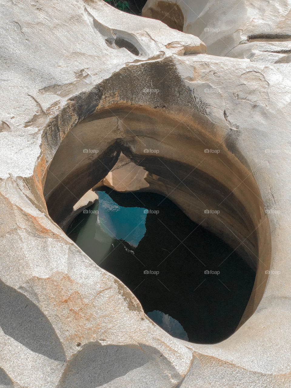 Natureza é incrível 