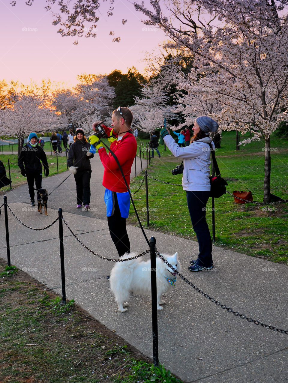 people photographing...