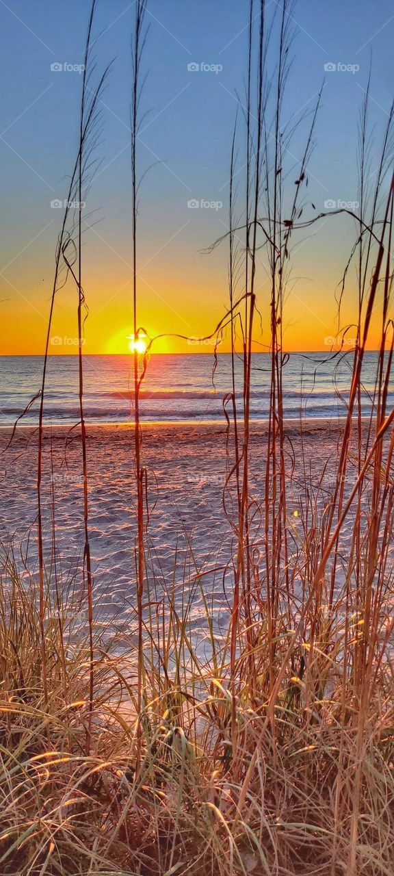 Manasota Key sunset