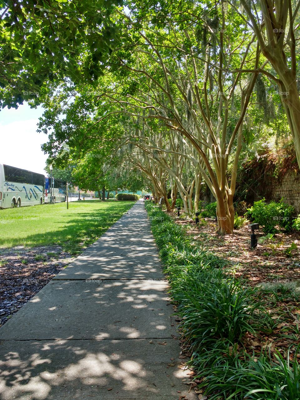 a shaded path in a garden in Savannah, Georgia.