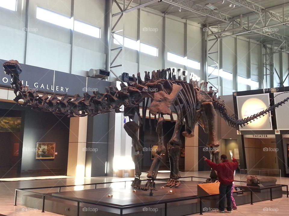 Dinosaur lesson with dad. Tellus Museum
