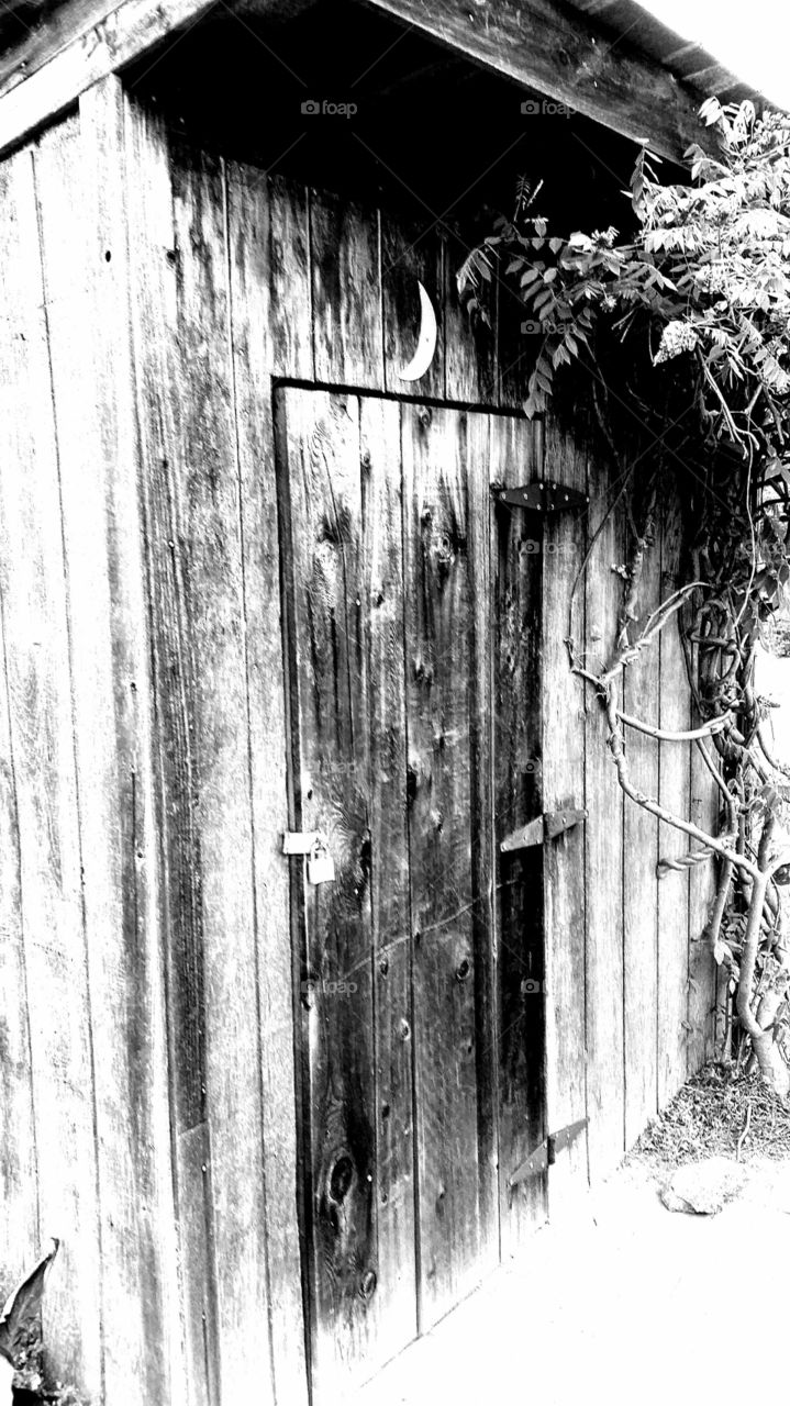 Shed some light. Beautifully old shed