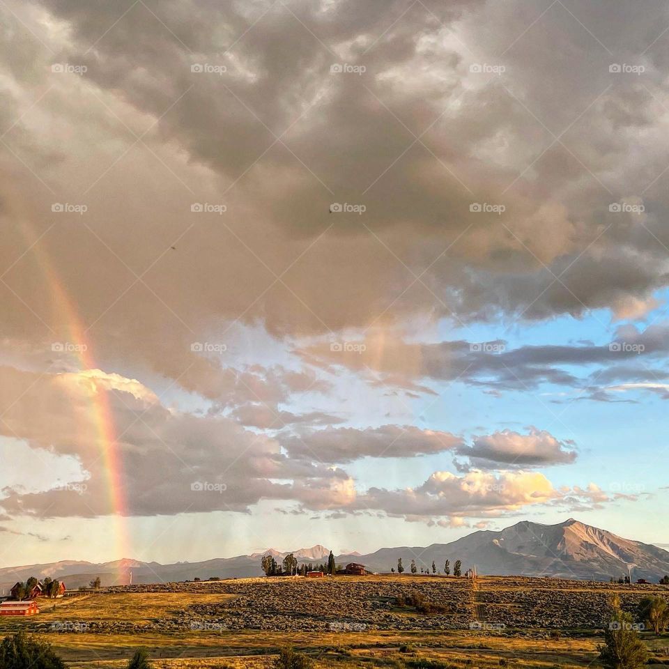 Rainbow Delight 🌹