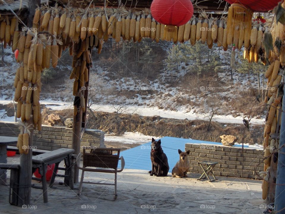 Farmer's home near Beijing China