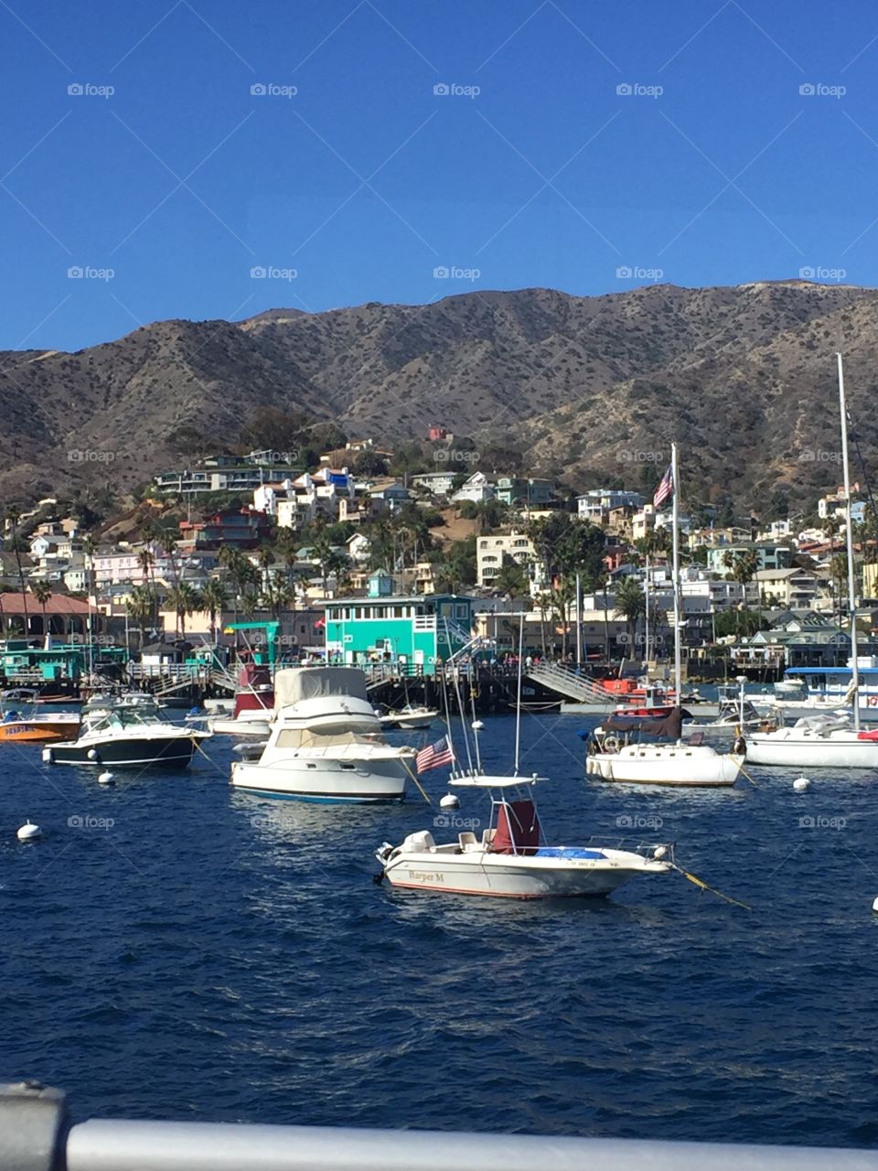 Catalina island