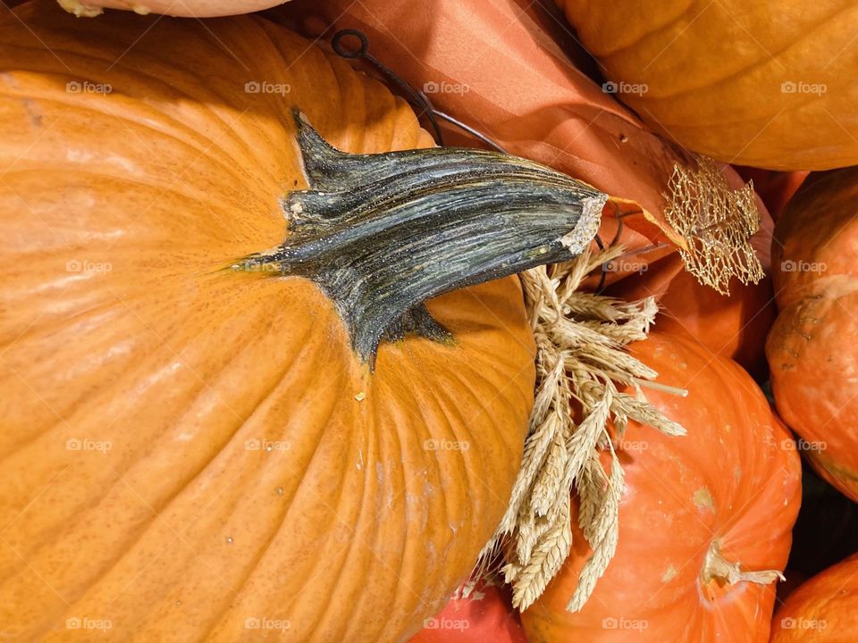 Getting ready for Halloween photography mission 