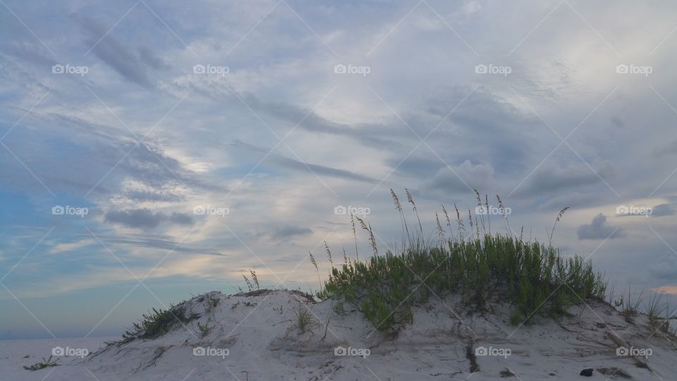 Sandy Sunset