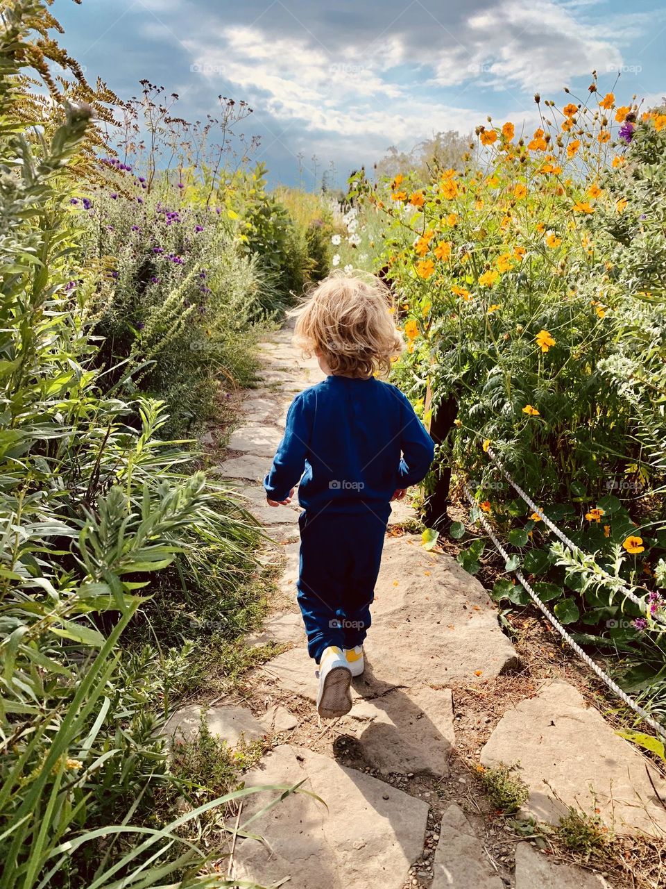 Little boy running between flowers