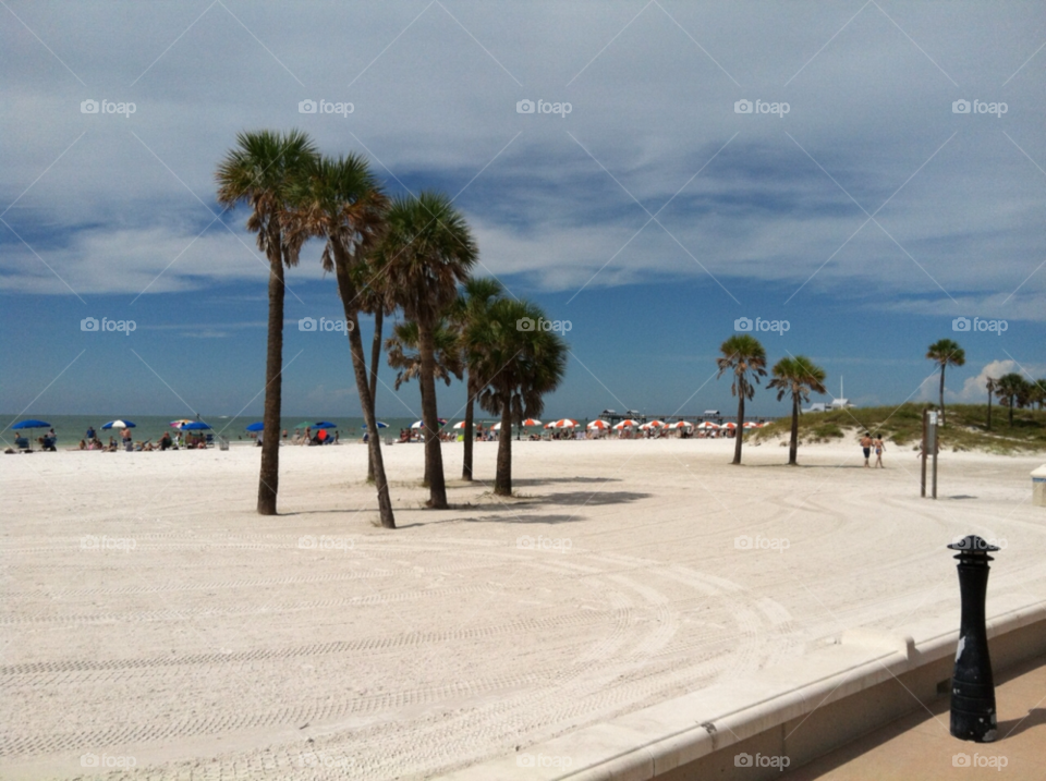 beach florida summer palm trees by Rodneyb