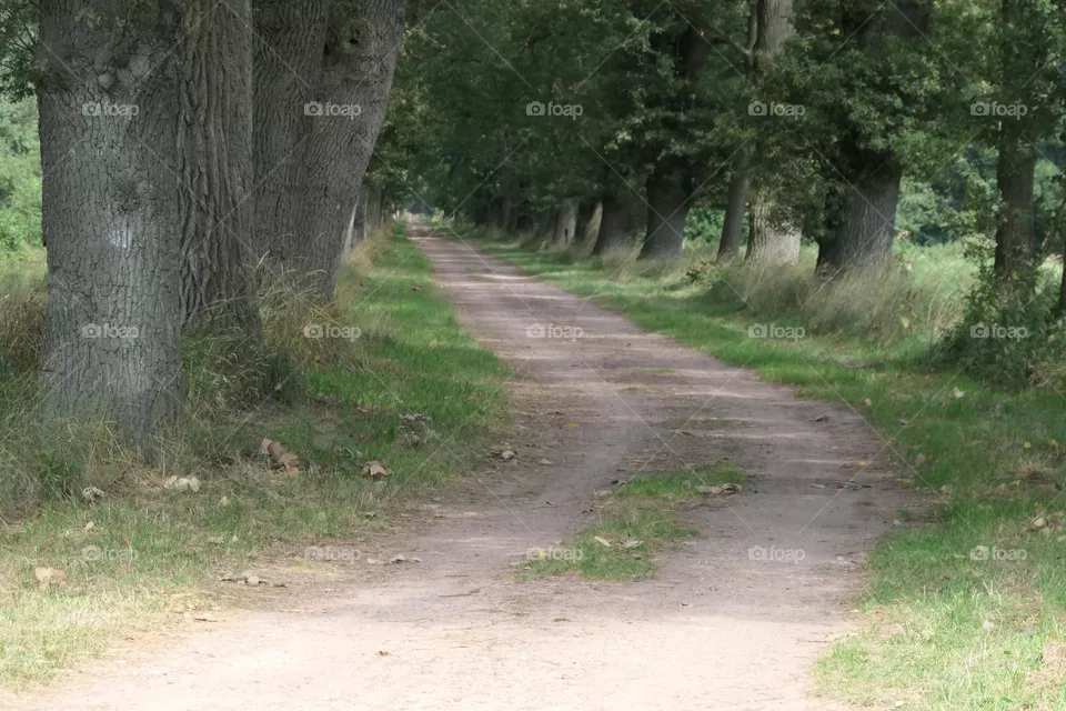 Country Road