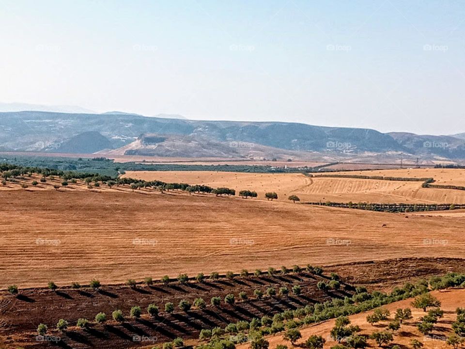 Agricultural lands