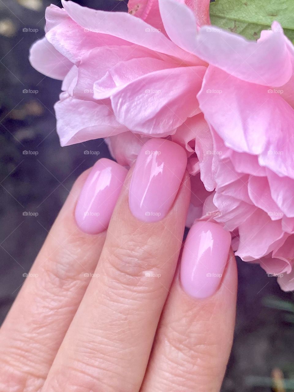 Розовый маникюр-это сочетание нежности и элегантности 