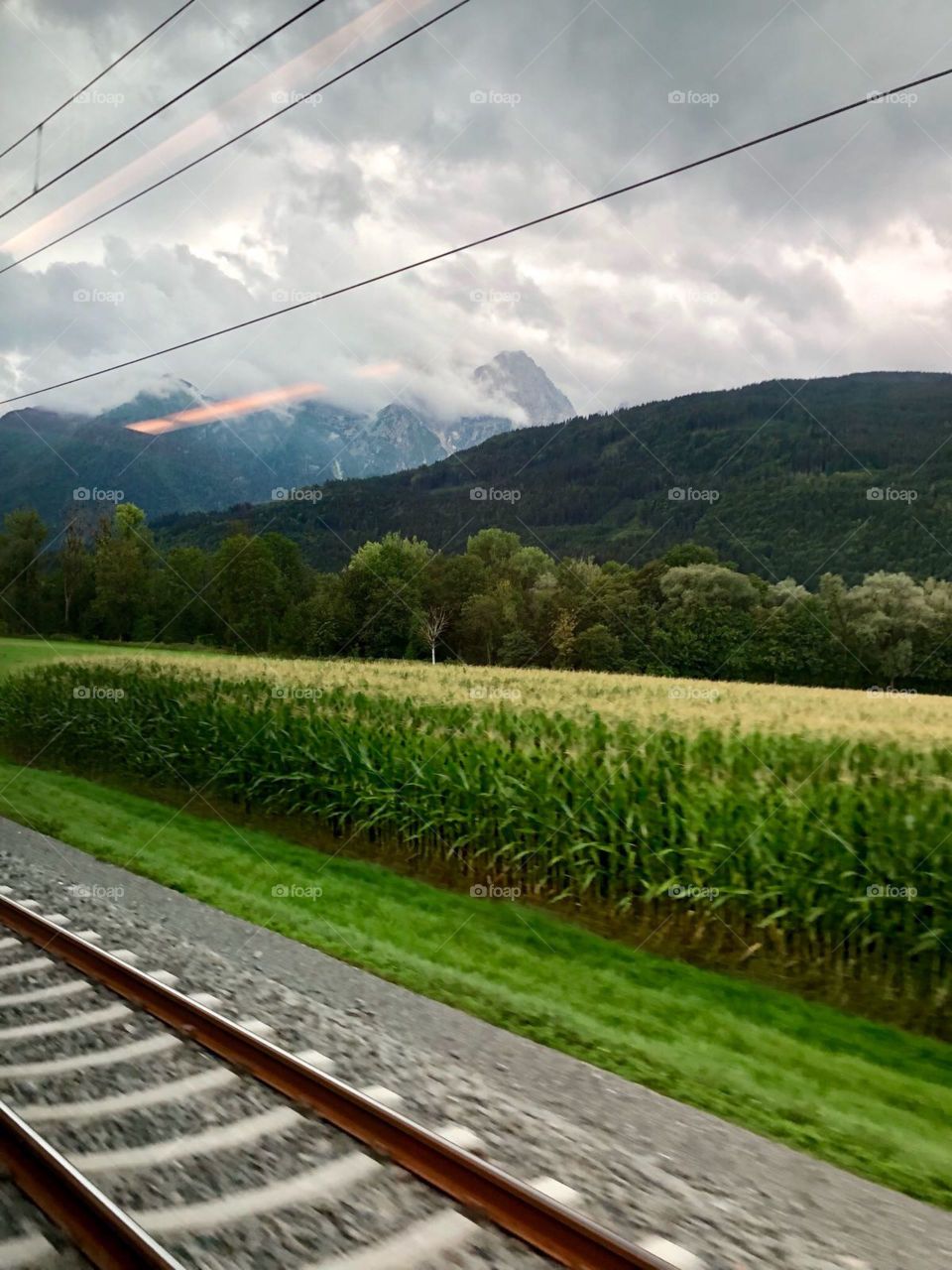 Train track and greenery 