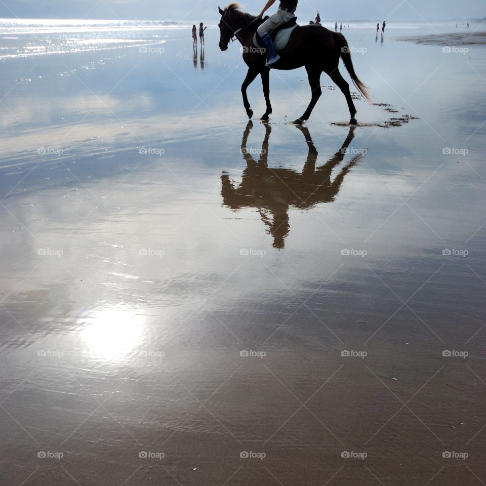 beach lovers