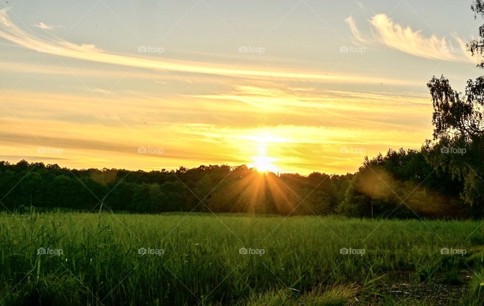 Swedish summer evening 