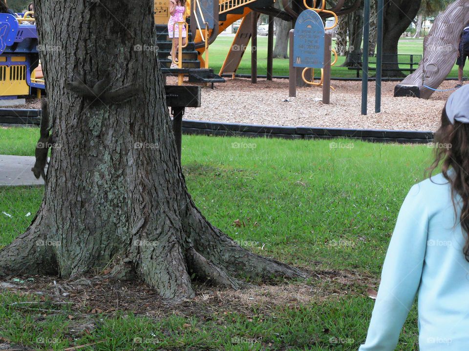 Child girl seen from her back, interacting with squirrels at the city park with squirrel going towards her from the tree.