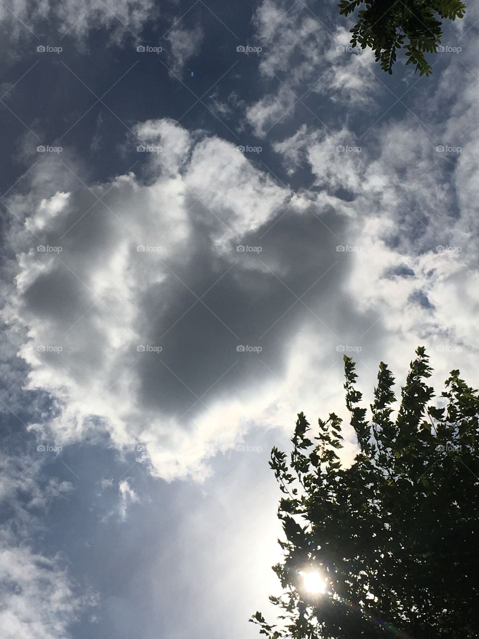 Close up cloud heart
