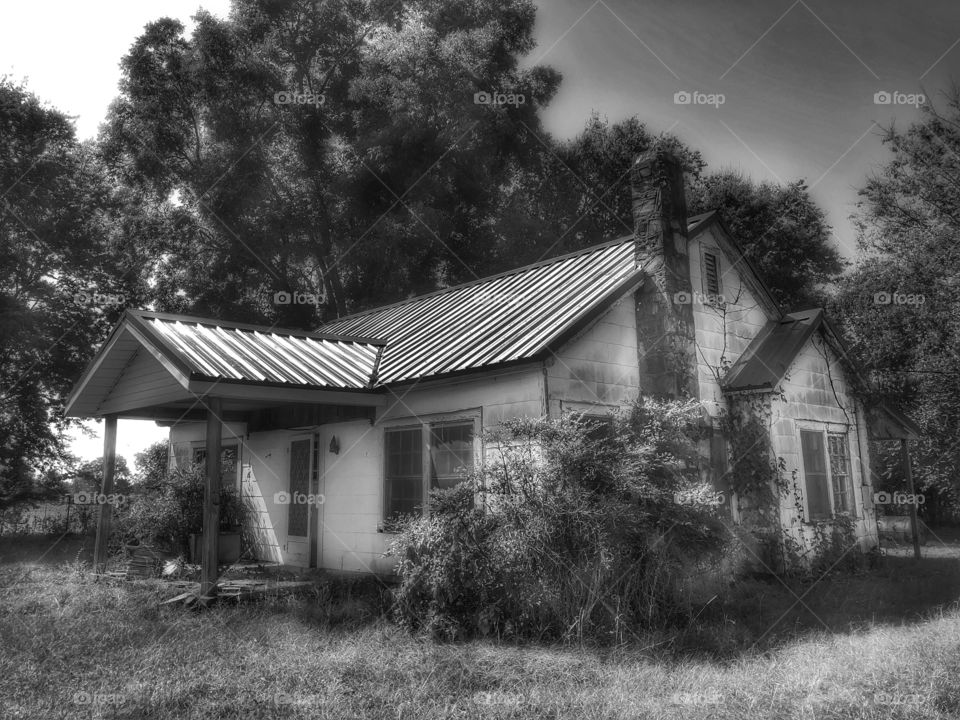 She wants some attention- that’s all...