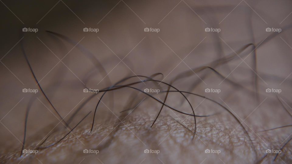 forest of human hand hair