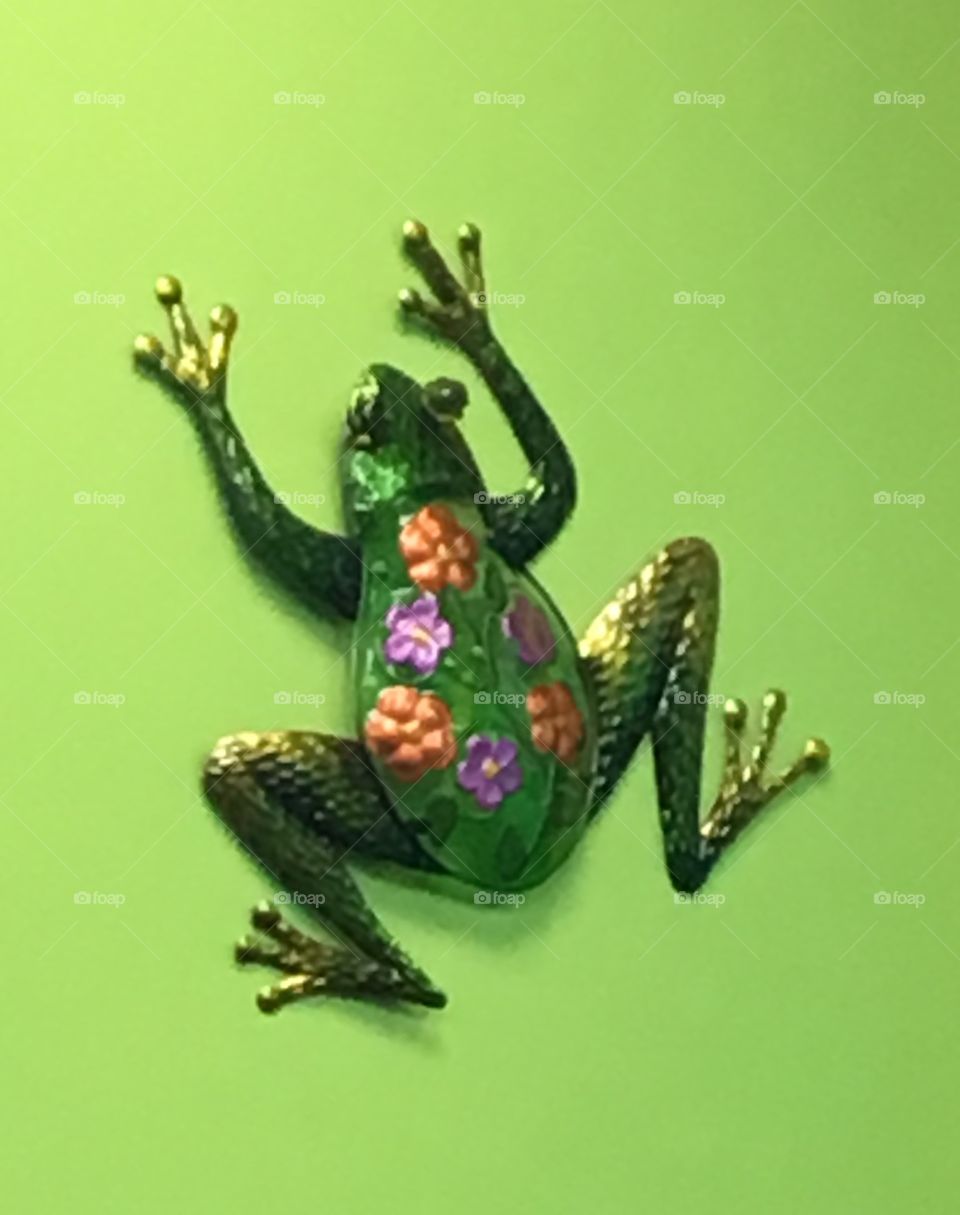 Designer frog 
