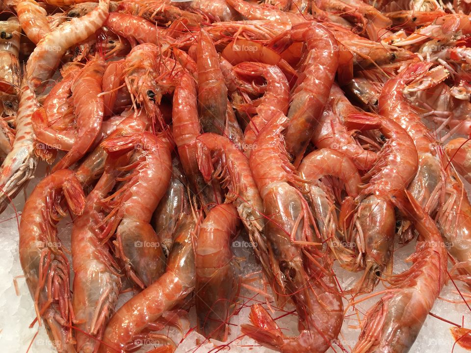 Shrimps