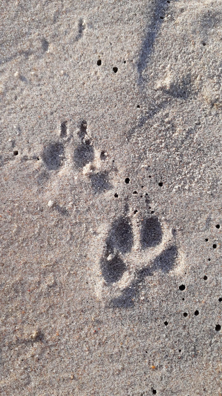 feet in the sand