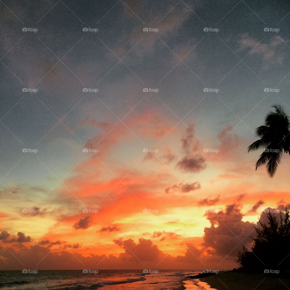 Ablaze with sunshine