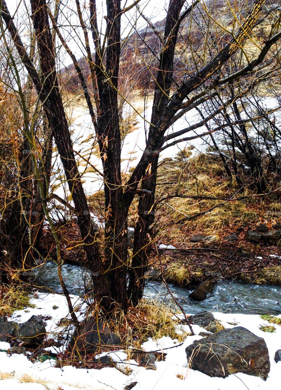 Snow on the river bank